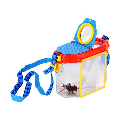 Gloine Formhéadúcháin Feithidí